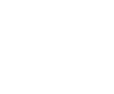100BNDZ